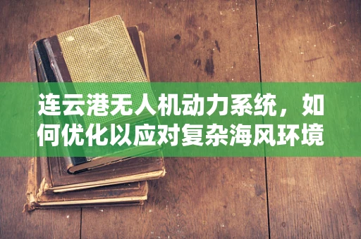 连云港无人机动力系统，如何优化以应对复杂海风环境？