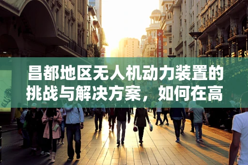 昌都地区无人机动力装置的挑战与解决方案，如何在高海拔环境下优化性能？
