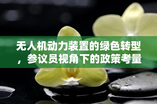 无人机动力装置的绿色转型，参议员视角下的政策考量