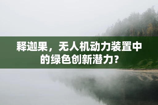释迦果，无人机动力装置中的绿色创新潜力？