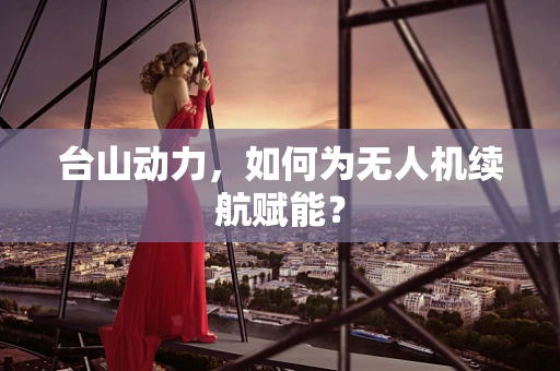 台山动力，如何为无人机续航赋能？