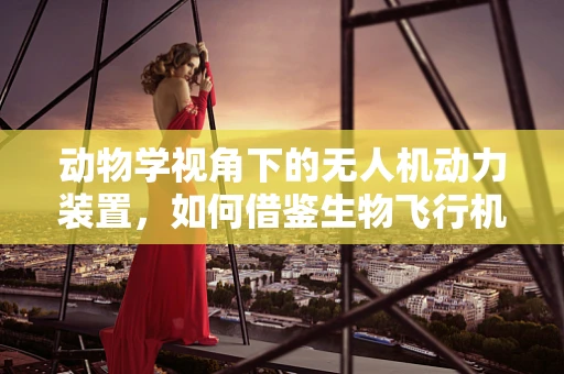 动物学视角下的无人机动力装置，如何借鉴生物飞行机制？