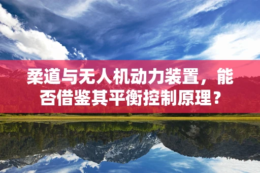 柔道与无人机动力装置，能否借鉴其平衡控制原理？