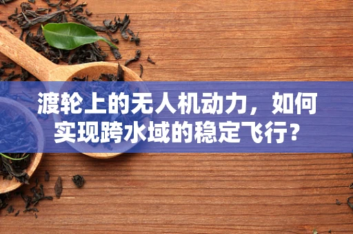 渡轮上的无人机动力，如何实现跨水域的稳定飞行？