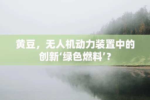 黄豆，无人机动力装置中的创新‘绿色燃料’？