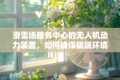 滑雪场服务中心的无人机动力装置，如何确保极端环境下的稳定飞行？