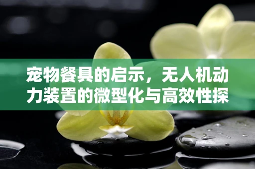 宠物餐具的启示，无人机动力装置的微型化与高效性探索