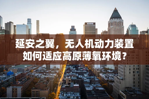 延安之翼，无人机动力装置如何适应高原薄氧环境？