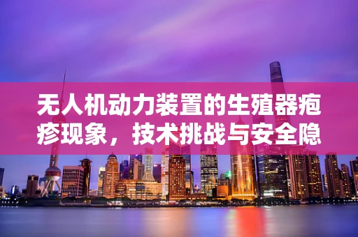 无人机动力装置的生殖器疱疹现象，技术挑战与安全隐忧？