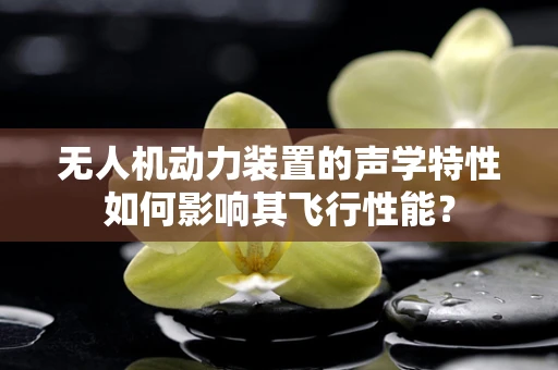 无人机动力装置的声学特性如何影响其飞行性能？