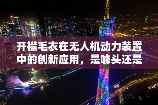 开襟毛衣在无人机动力装置中的创新应用，是噱头还是真功夫？