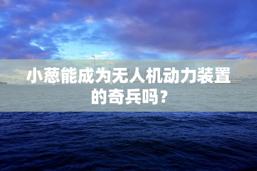 小葱能成为无人机动力装置的奇兵吗？