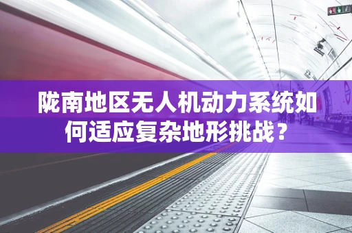 陇南地区无人机动力系统如何适应复杂地形挑战？
