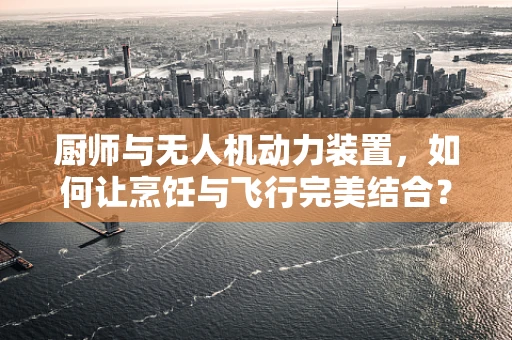 厨师与无人机动力装置，如何让烹饪与飞行完美结合？