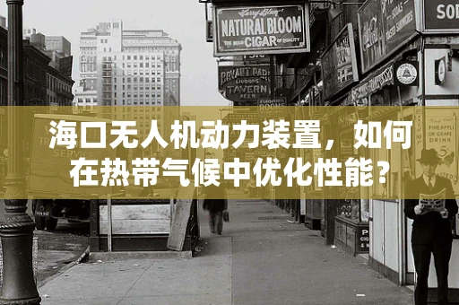 海口无人机动力装置，如何在热带气候中优化性能？