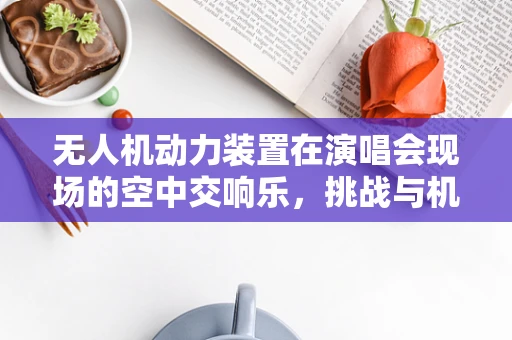 无人机动力装置在演唱会现场的空中交响乐，挑战与机遇