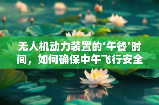 无人机动力装置的‘午餐’时间，如何确保中午飞行安全与效率？