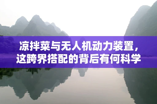 凉拌菜与无人机动力装置，这跨界搭配的背后有何科学考量？