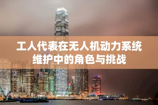 工人代表在无人机动力系统维护中的角色与挑战