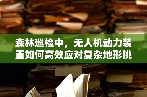 森林巡检中，无人机动力装置如何高效应对复杂地形挑战？
