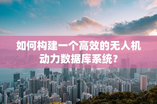 如何构建一个高效的无人机动力数据库系统？