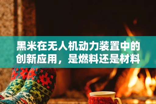 黑米在无人机动力装置中的创新应用，是燃料还是材料新纪元？