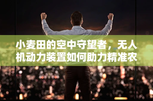 小麦田的空中守望者，无人机动力装置如何助力精准农业？