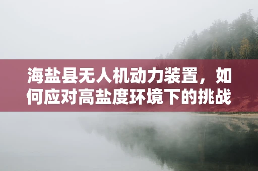 海盐县无人机动力装置，如何应对高盐度环境下的挑战？