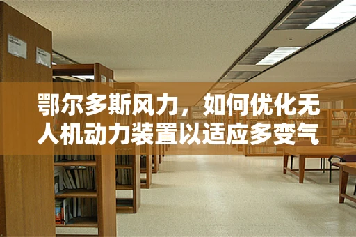 鄂尔多斯风力，如何优化无人机动力装置以适应多变气候？