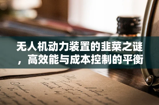 无人机动力装置的韭菜之谜，高效能与成本控制的平衡点