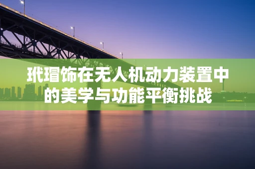 玳瑁饰在无人机动力装置中的美学与功能平衡挑战