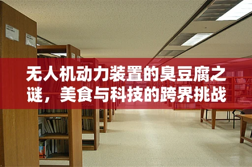 无人机动力装置的臭豆腐之谜，美食与科技的跨界挑战？