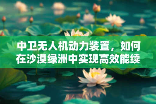 中卫无人机动力装置，如何在沙漠绿洲中实现高效能续航？
