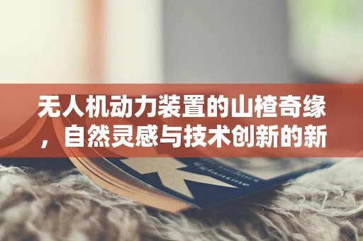 无人机动力装置的山楂奇缘，自然灵感与技术创新的新篇章？