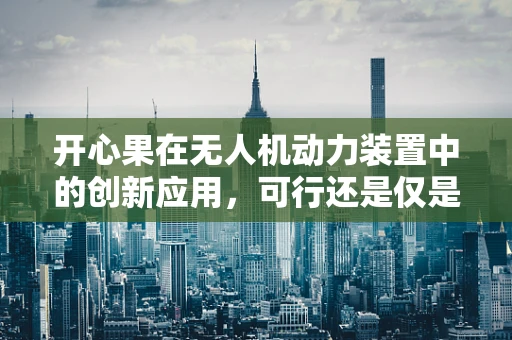 开心果在无人机动力装置中的创新应用，可行还是仅是奇思妙想？