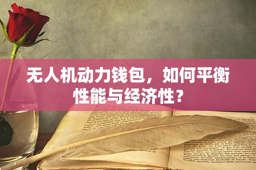 无人机动力钱包，如何平衡性能与经济性？