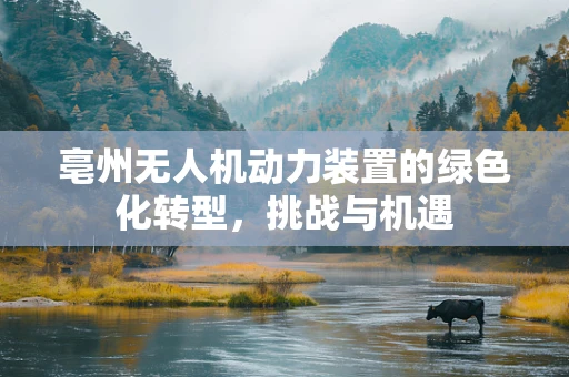 亳州无人机动力装置的绿色化转型，挑战与机遇