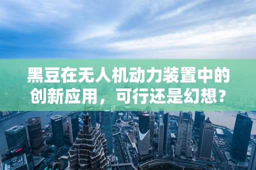 黑豆在无人机动力装置中的创新应用，可行还是幻想？