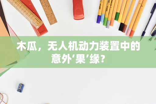 木瓜，无人机动力装置中的意外‘果’缘？