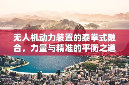 无人机动力装置的泰拳式融合，力量与精准的平衡之道？