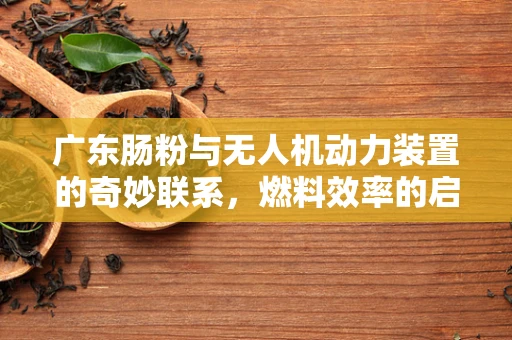 广东肠粉与无人机动力装置的奇妙联系，燃料效率的启示