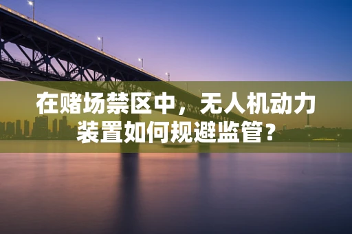 在赌场禁区中，无人机动力装置如何规避监管？