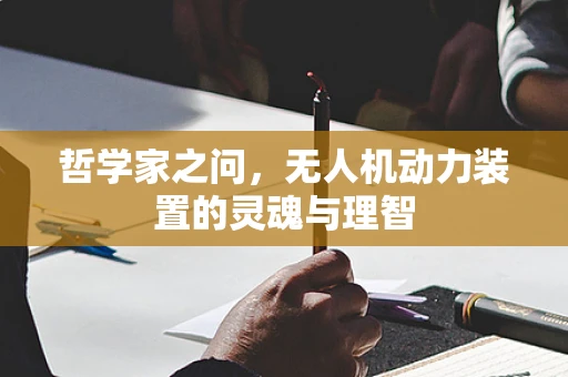 哲学家之问，无人机动力装置的灵魂与理智