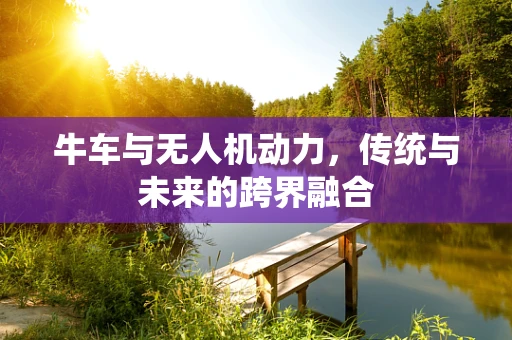 牛车与无人机动力，传统与未来的跨界融合