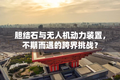 胆结石与无人机动力装置，不期而遇的跨界挑战？