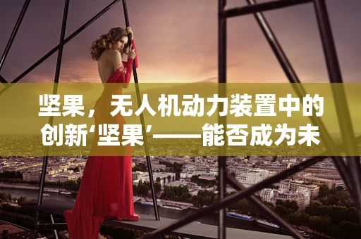 坚果，无人机动力装置中的创新‘坚果’——能否成为未来动力新宠？