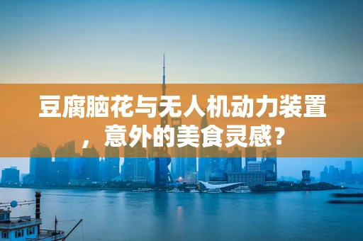 豆腐脑花与无人机动力装置，意外的美食灵感？