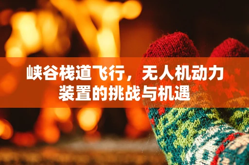 峡谷栈道飞行，无人机动力装置的挑战与机遇