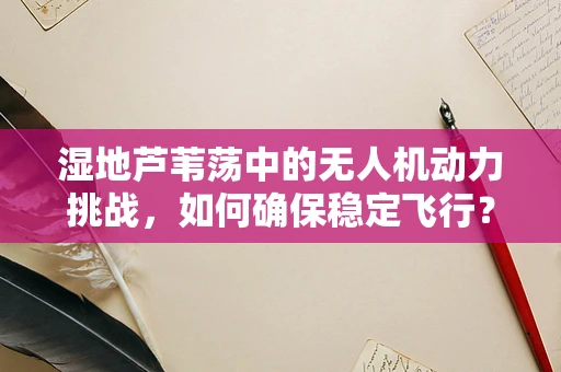 湿地芦苇荡中的无人机动力挑战，如何确保稳定飞行？