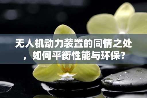 无人机动力装置的同情之处，如何平衡性能与环保？
